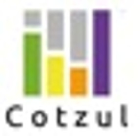 Cotzul